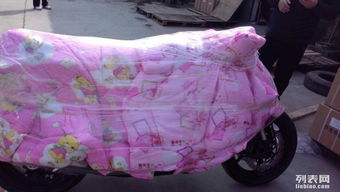 圖 武昌區(qū)專業(yè)托運(yùn)電腦冰箱空調(diào)婚紗照相框電動(dòng)車摩托車行李包裹上門 武漢快遞